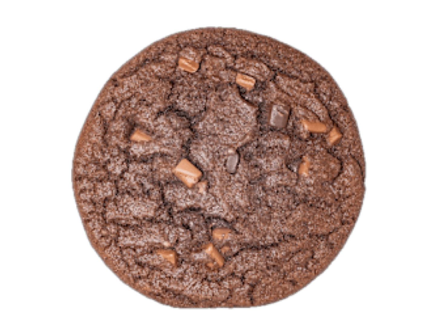 Cookie mit Stücken dunkler Schokolade