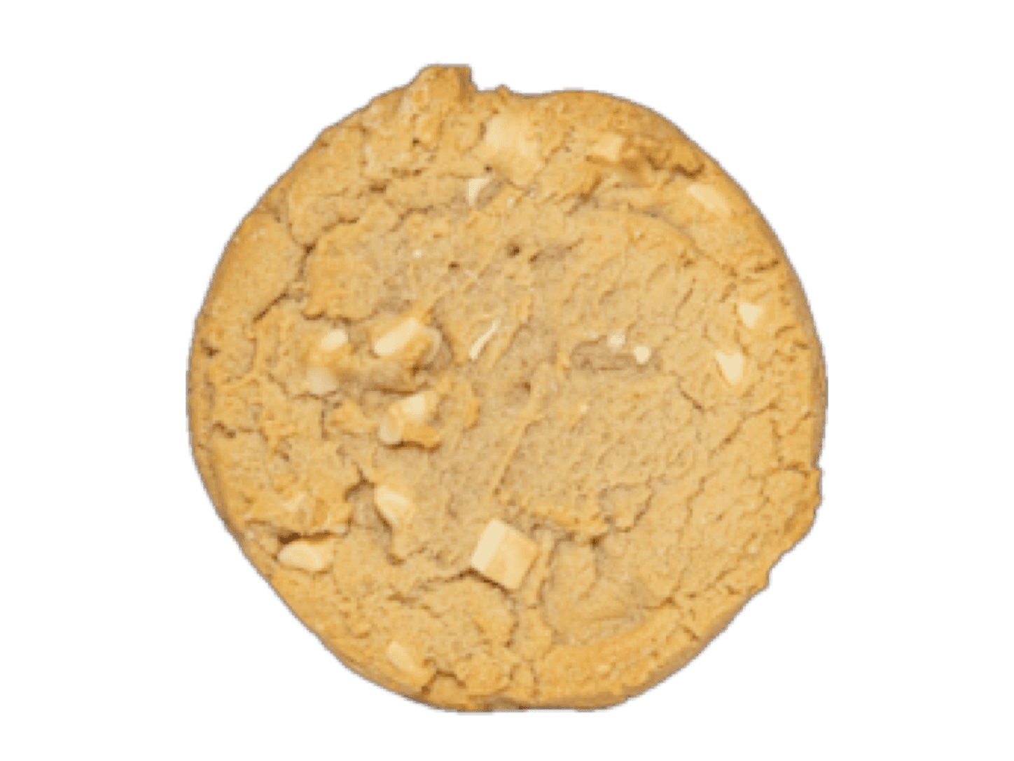 Cookie mit Stücken weißer Schokolade